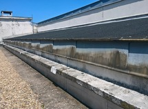 WP_20160609_14_07_11_Pro.jpg
